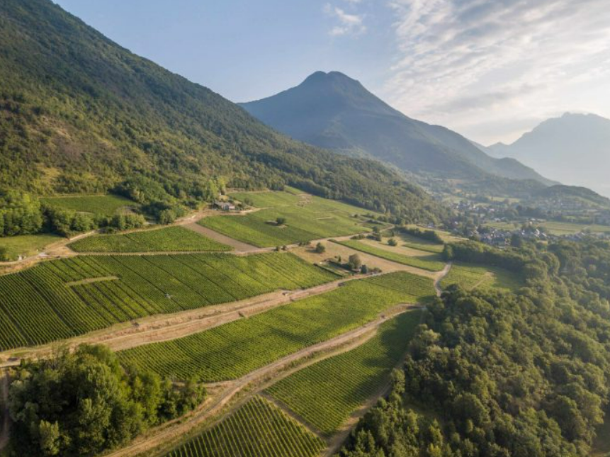 Domaine Genoux Domaine Genoux