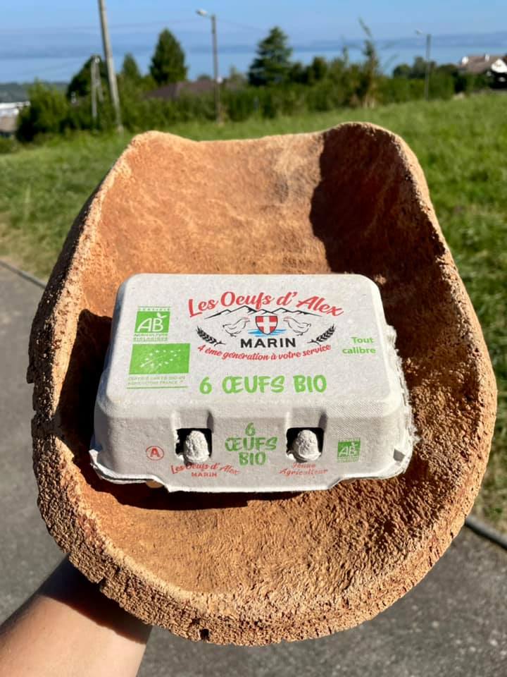 Les Œufs d'Alex