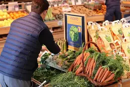 570-biocoop-thonon-bio-legume-carotte-saison-local.webp