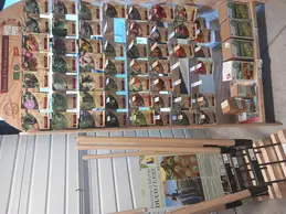 570-biocoop-thonon-bio-local-graine-plante.webp