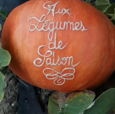Aux légumes de saisons Aux légumes de saisons