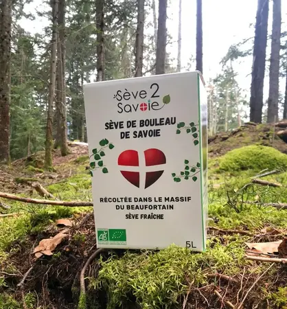 Sève 2 Savoie